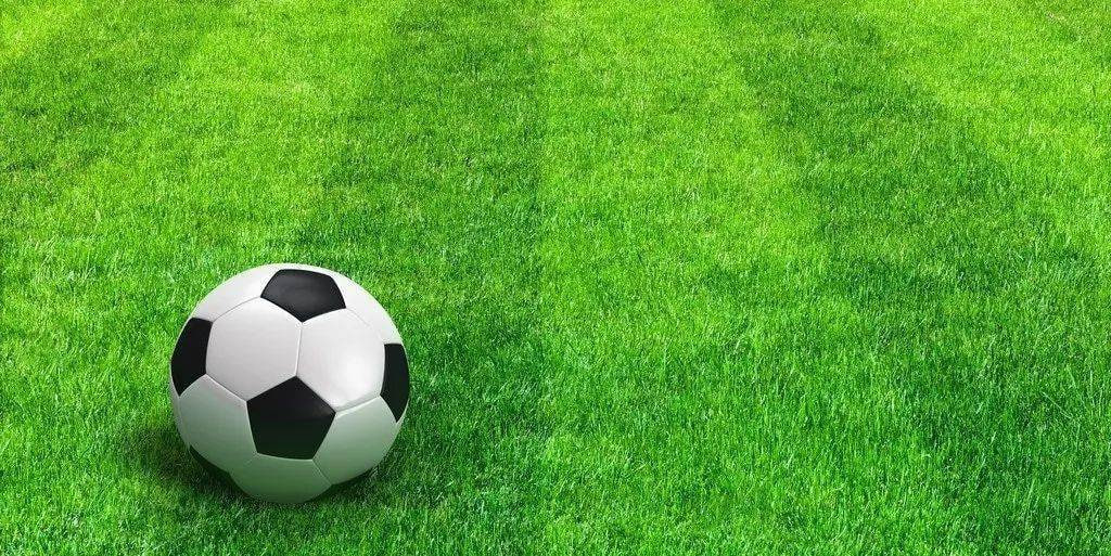 足球新手学习平台